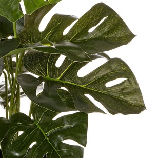 45 cm Monstera Plant Green 45 cm